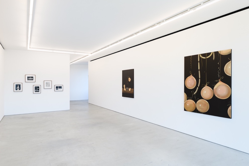 Carousel Image number 11